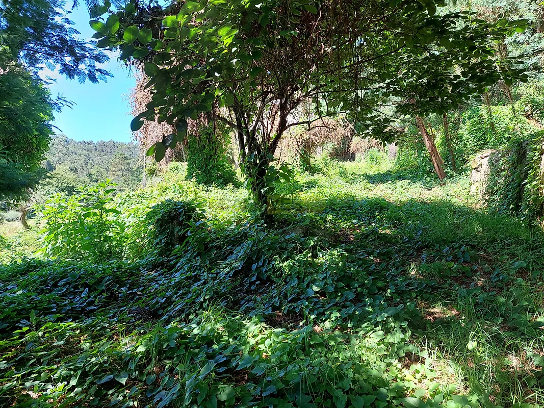Moradia T0 à venda em Poiares, Ponte de Lima — foto 16