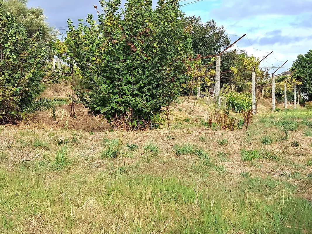 Moradia T4 à venda em Tamel (São Veríssimo), Barcelos — foto 16