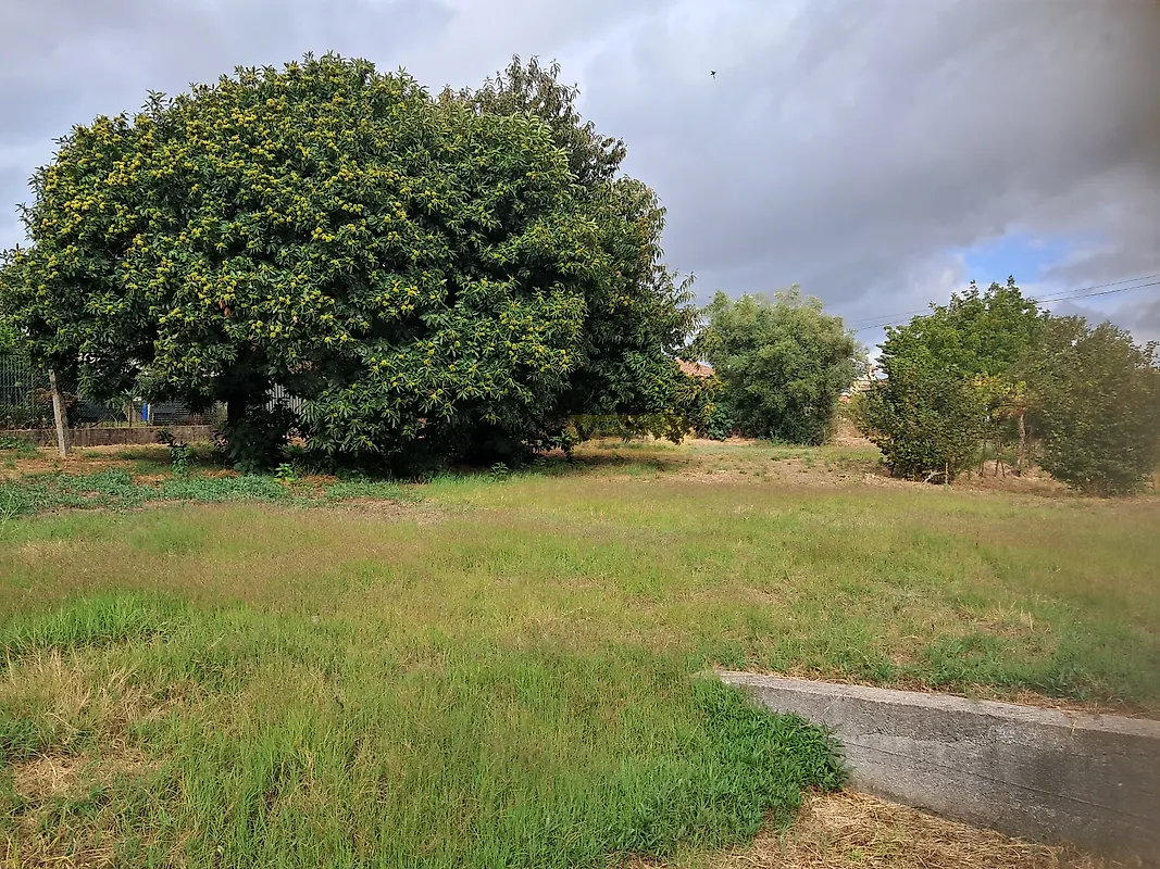 Moradia T4 à venda em Tamel (São Veríssimo), Barcelos — foto 18