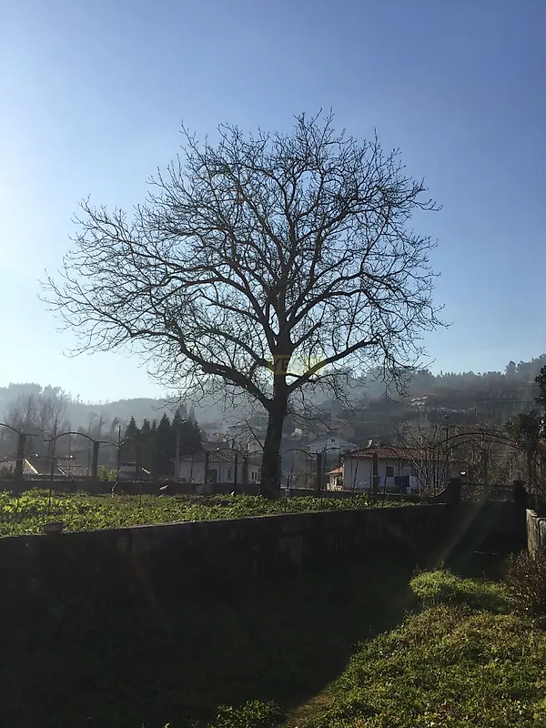 Moradia T0 à venda em Serzedo e Calvos, Guimarães — foto 6