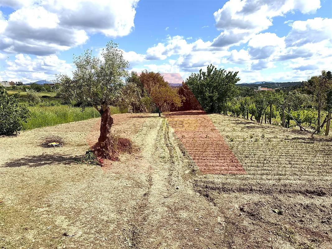 Moradia T3 à venda em Espariz e Sinde, Tábua — foto 21