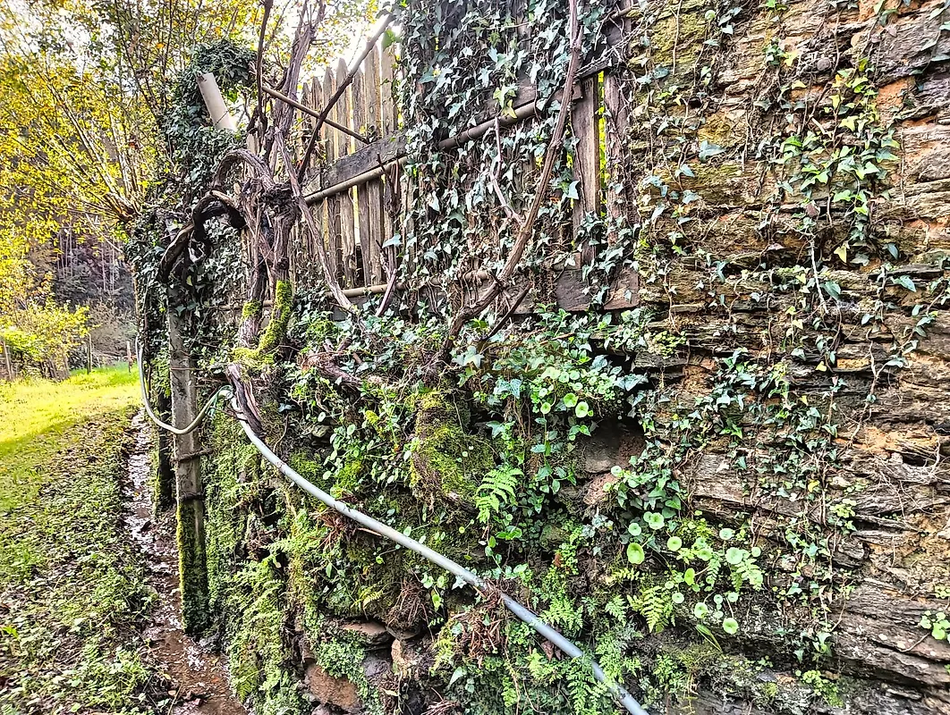 Apartamento T1 à venda em Angeja, Albergaria-a-Velha — foto 38