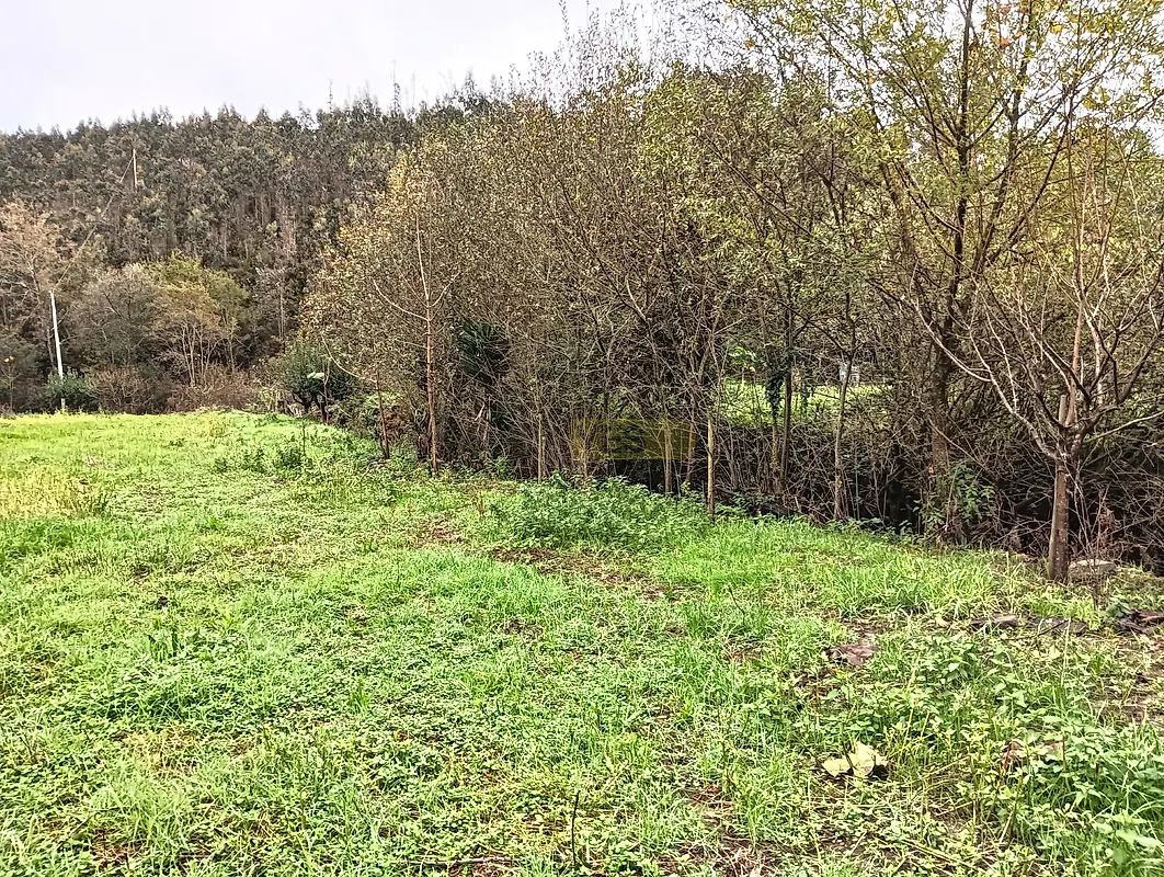 Apartamento T1 à venda em Angeja, Albergaria-a-Velha — foto 40