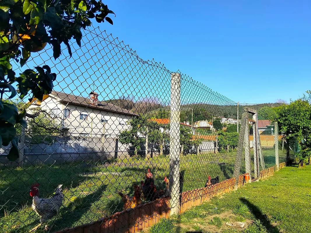 Moradia T3 à venda em Branca, Albergaria-a-Velha — foto 11