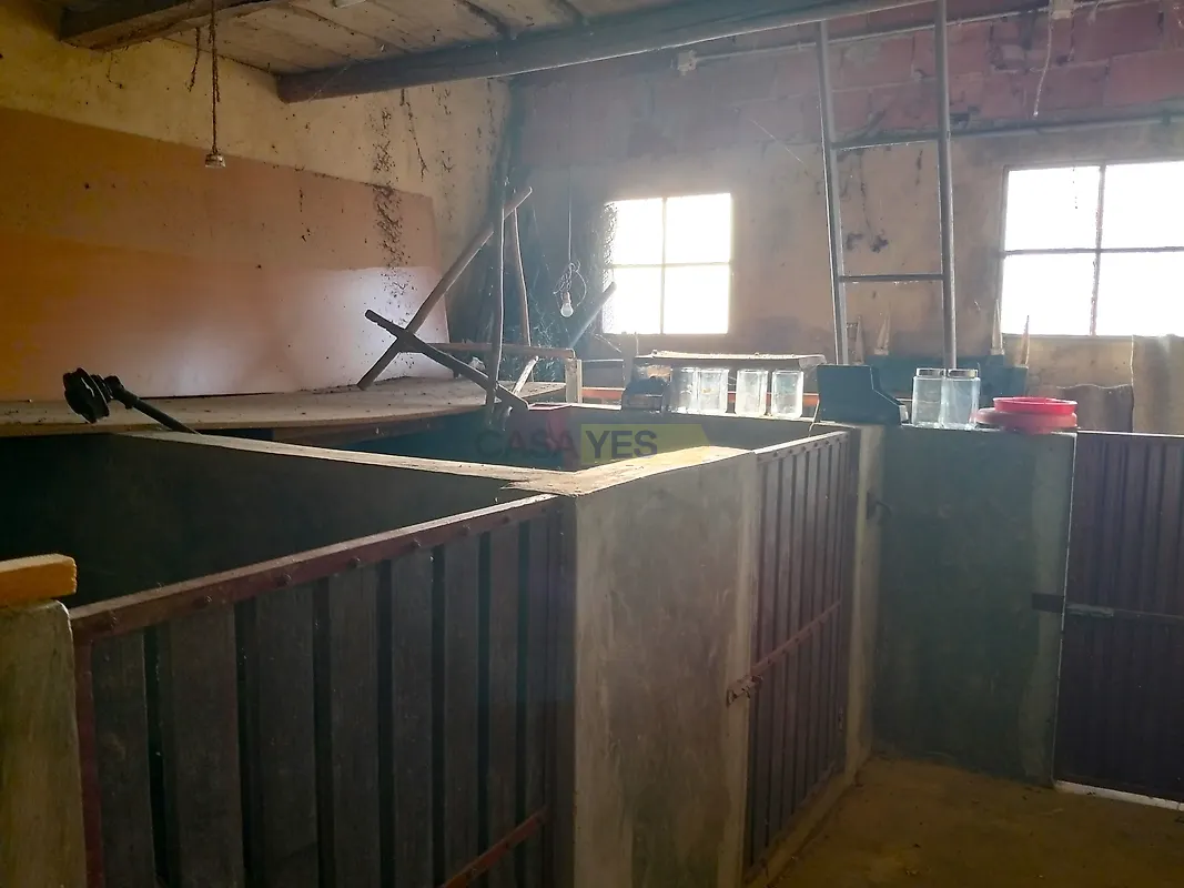 Moradia T3 à venda em Branca, Albergaria-a-Velha — foto 12