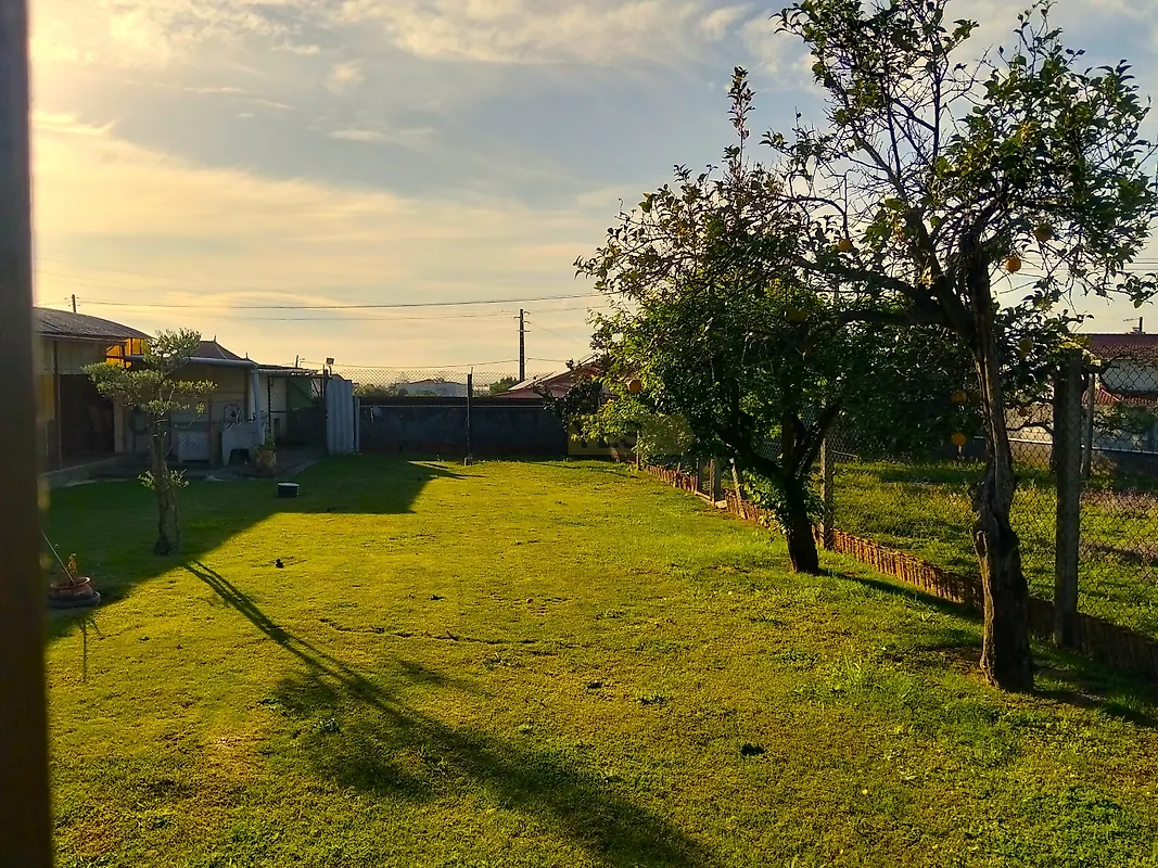 Moradia T3 à venda em Branca, Albergaria-a-Velha — foto 15