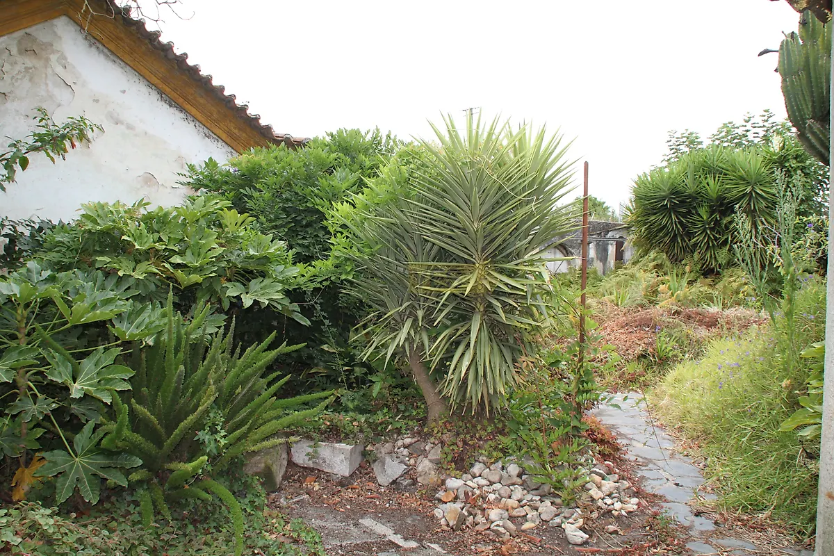 Moradia T6+ à venda em Cacia, Aveiro — foto 19