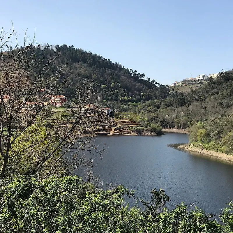 Moradia T0 à venda em Lamego (Almacave e Sé), Lamego — foto 4
