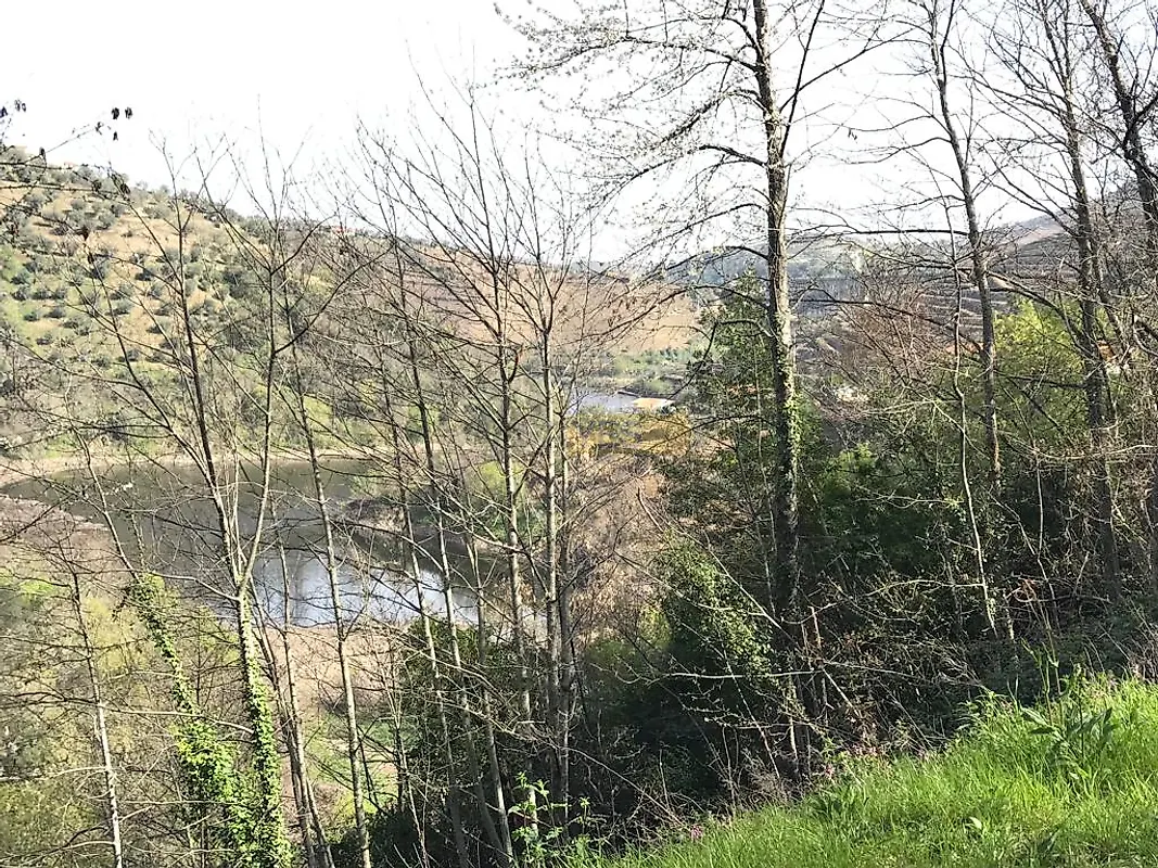 Moradia T0 à venda em Lamego (Almacave e Sé), Lamego — foto 9