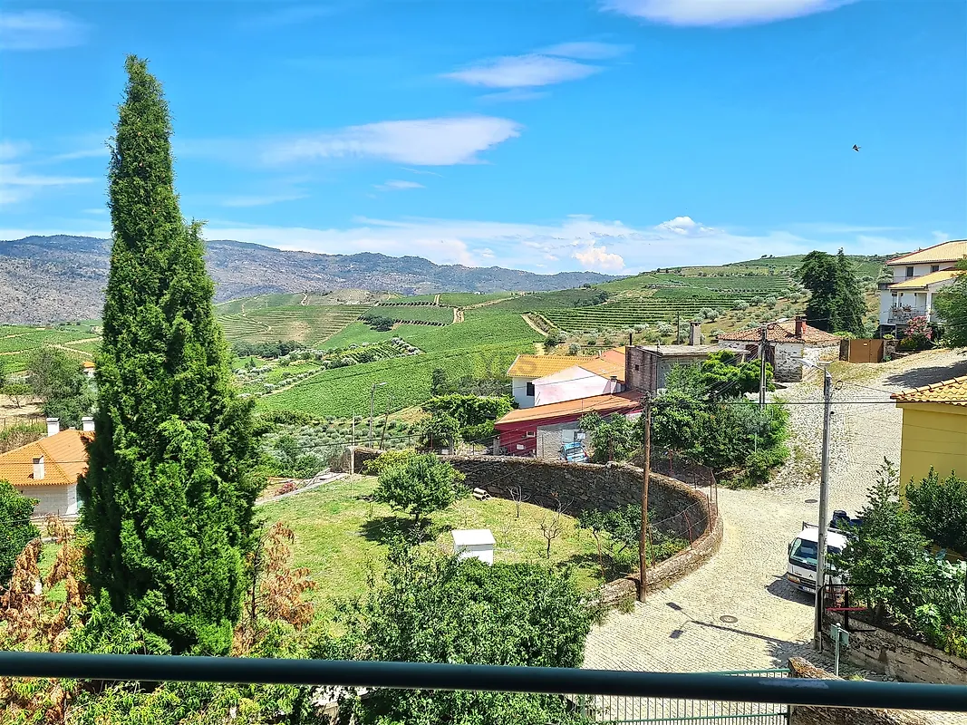 Moradia T3 à venda em Nagozelo do douro, São João da Pesqueira — foto 19