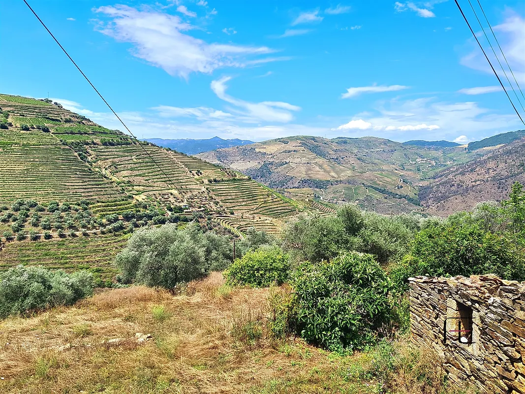 Moradia T3 à venda em Nagozelo do douro, São João da Pesqueira — foto 37