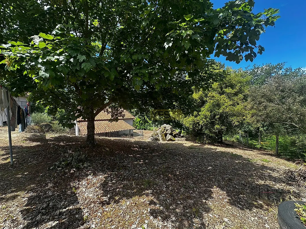 Moradia T5 à venda em Anreade e São Romão de Aregos, Resende — foto 27