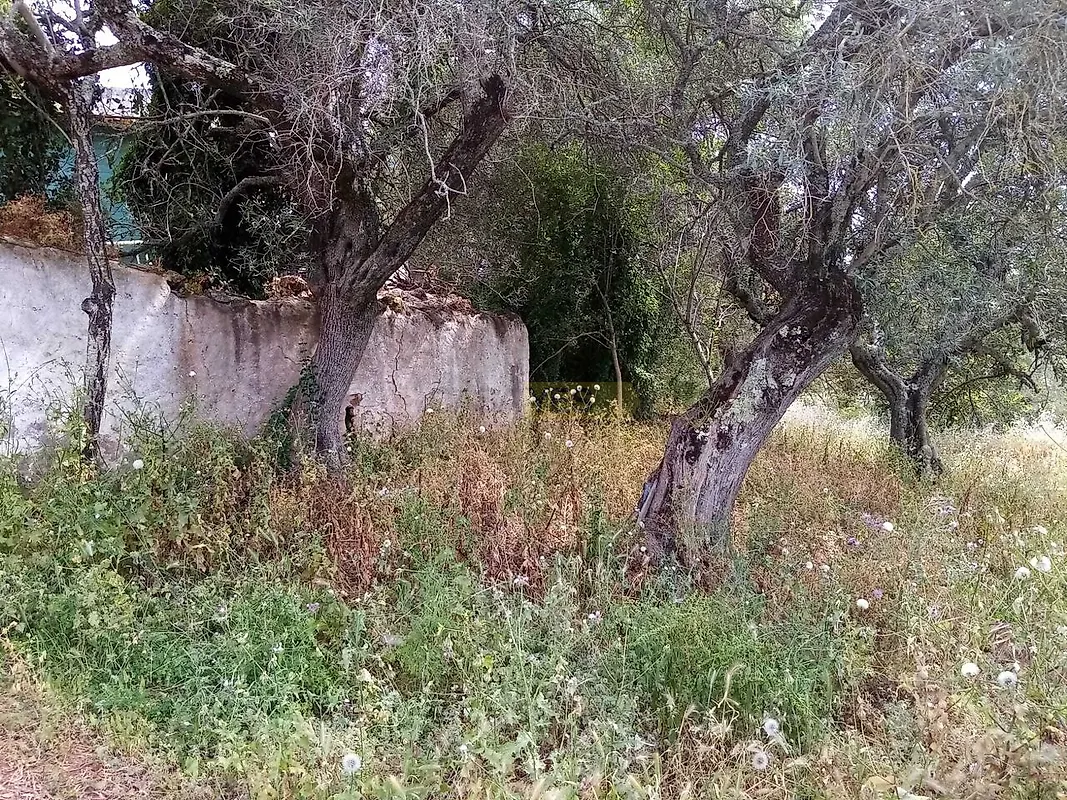 Moradia T2 à venda em Querença, Tôr e Benafim, Loulé — foto 15