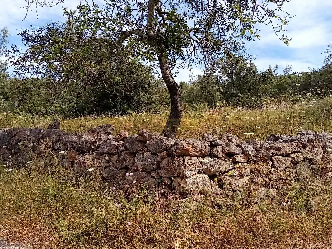 Moradia T2 à venda em Querença, Tôr e Benafim, Loulé — foto 17