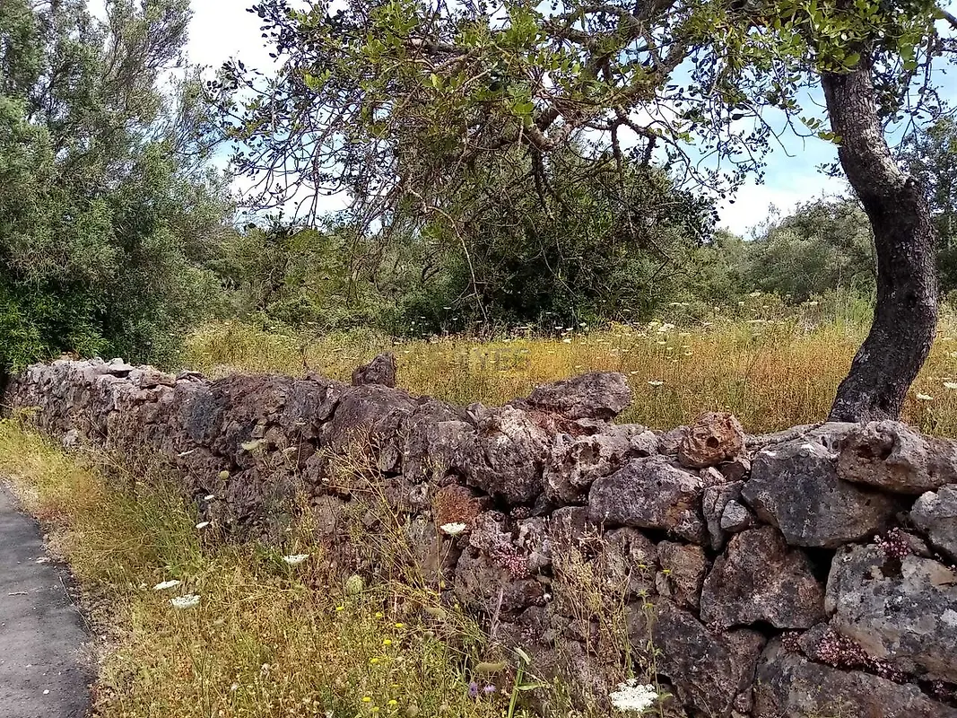 Moradia T2 à venda em Querença, Tôr e Benafim, Loulé — foto 19