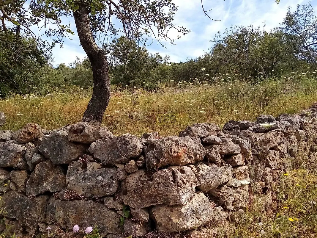 Moradia T2 à venda em Querença, Tôr e Benafim, Loulé — foto 24