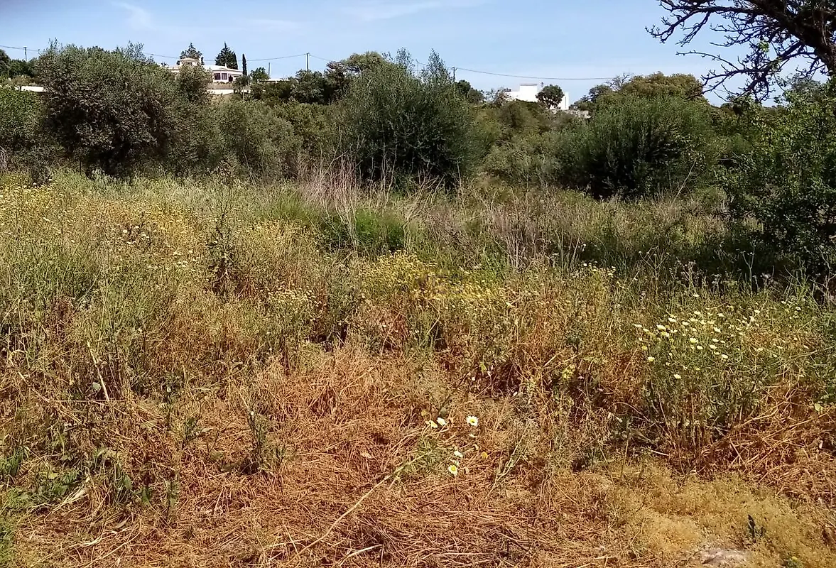 Moradia T6+ à venda em São Clemente, Loulé — foto 6
