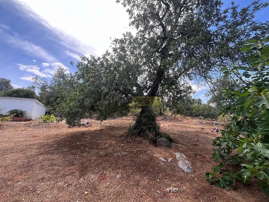 Moradia T5 à venda em Luz de Tavira e Santo Estêvão, Tavira — foto 19