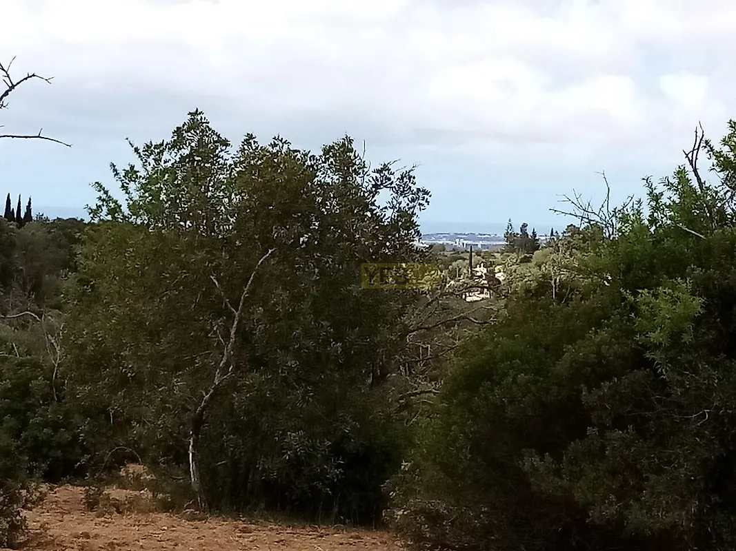 Moradia T0 à venda em São Sebastião, Rio Maior — foto 12