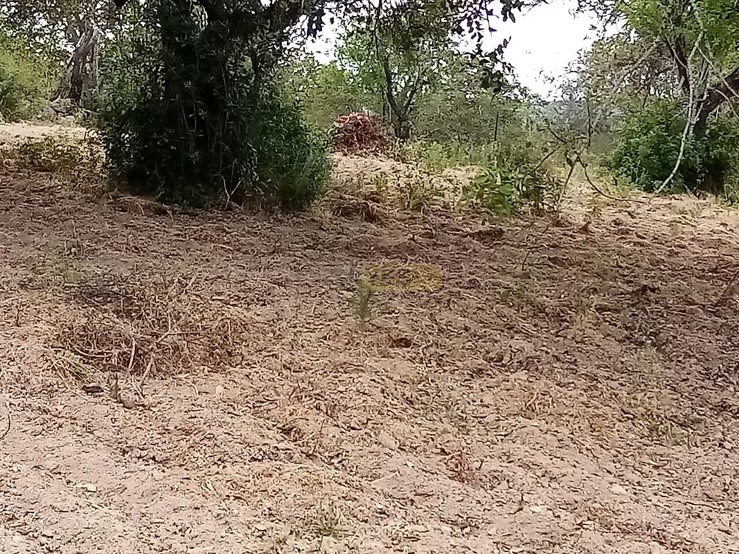 Moradia T0 à venda em São Sebastião, Rio Maior — foto 14