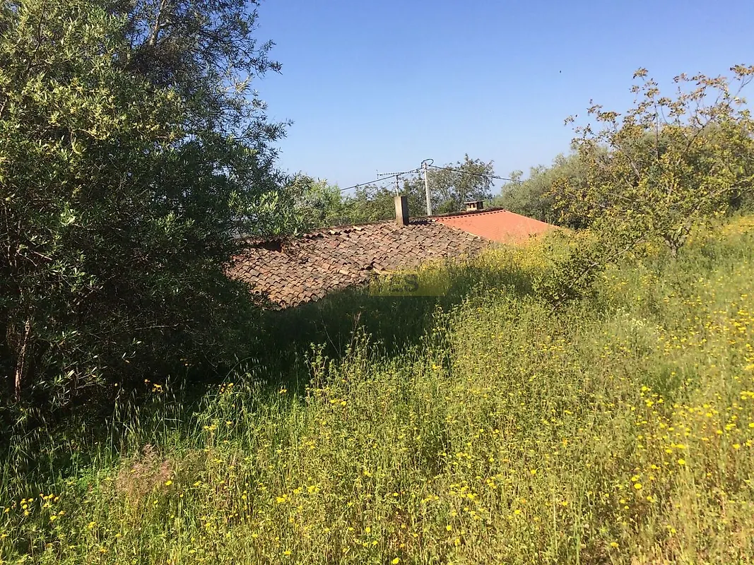 Moradia T0 à venda em Querença, Tôr e Benafim, Loulé — foto 4