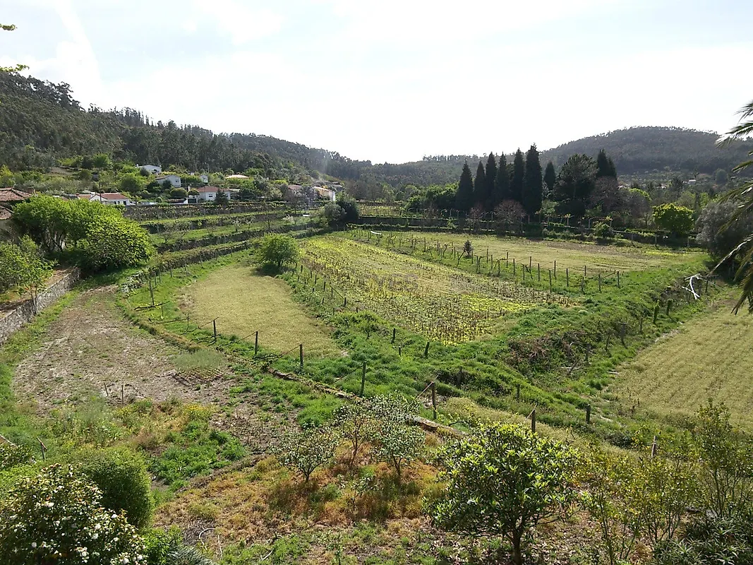 Apartamento T5 à venda em Riba de Âncora, Caminha — foto 23