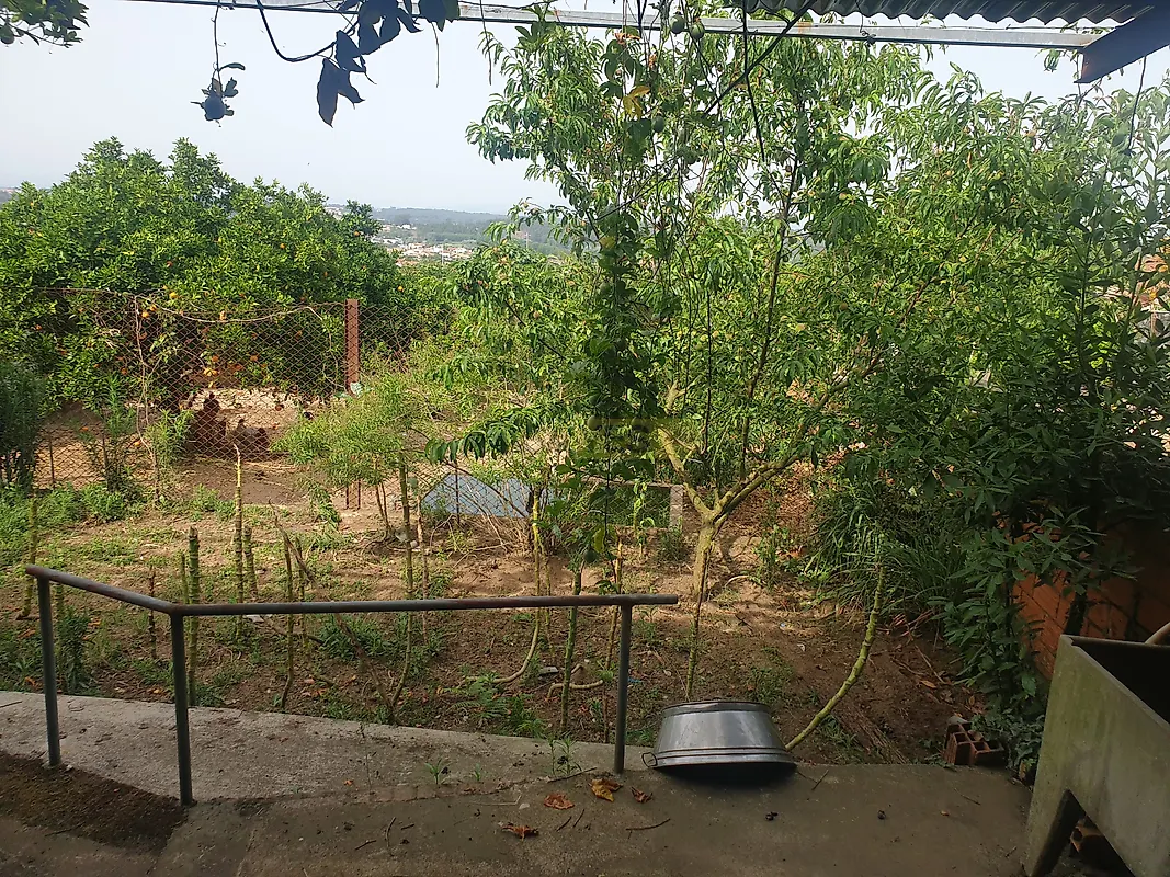 Moradia T6+ à venda em Fermentelos, Águeda — foto 33