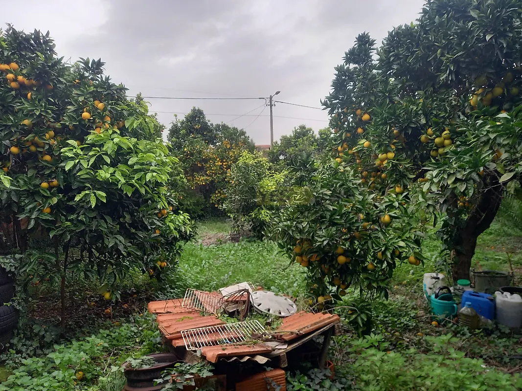 Moradia T2 à venda em Oiã, Oliveira do Bairro — foto 14