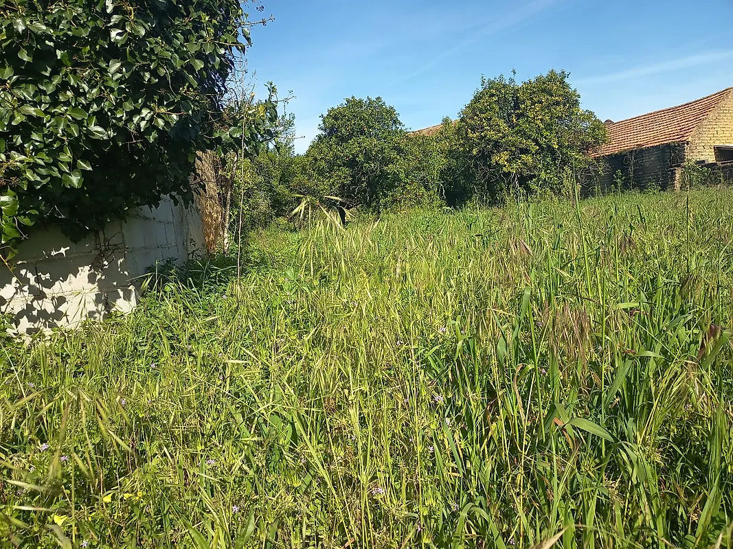 Moradia T3 à venda em Amoreira da Gândara, Paredes do Bairro e Ancas, Anadia — foto 25