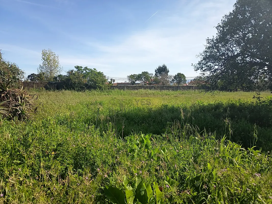 Moradia T3 à venda em Amoreira da Gândara, Paredes do Bairro e Ancas, Anadia — foto 26