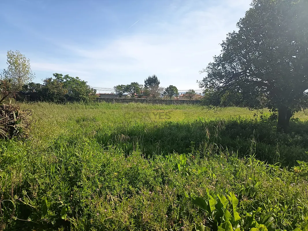 Moradia T3 à venda em Amoreira da Gândara, Paredes do Bairro e Ancas, Anadia — foto 27
