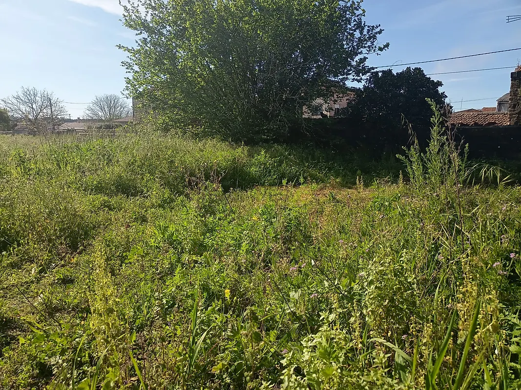Moradia T3 à venda em Amoreira da Gândara, Paredes do Bairro e Ancas, Anadia — foto 29