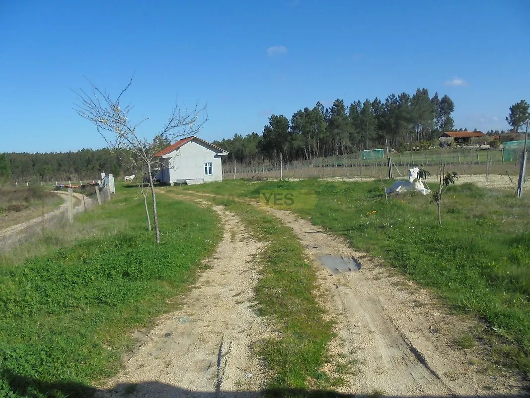 Apartamento T0 à venda em Fonte de Angeão e Covão do Lobo, Vagos — foto 12
