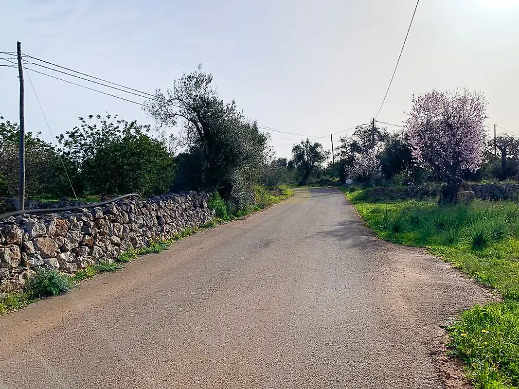Moradia T0 à venda em Querença, Tôr e Benafim, Loulé — foto 11