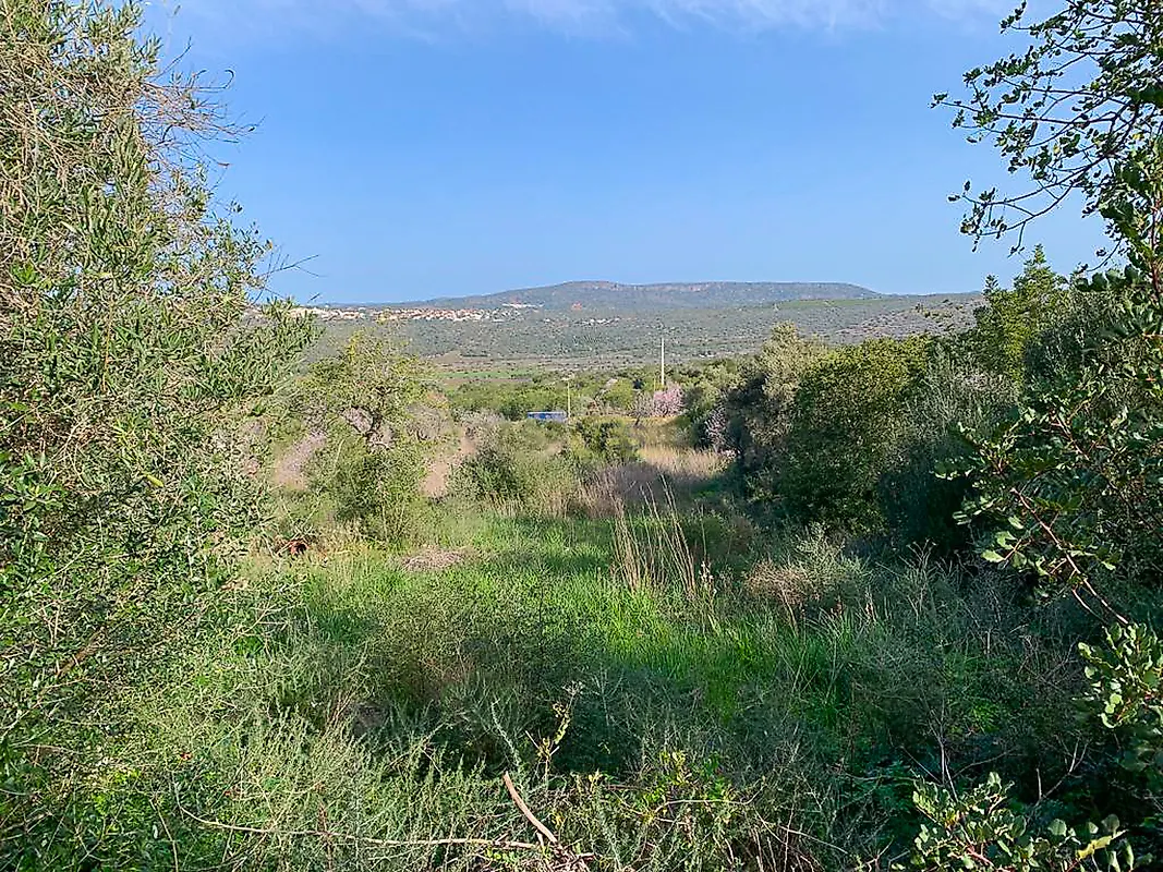 Moradia T0 à venda em Querença, Tôr e Benafim, Loulé — foto 15