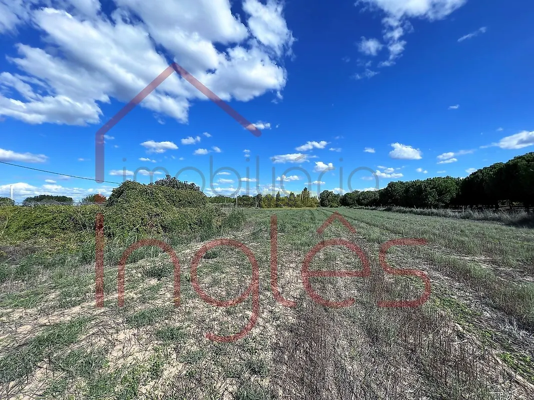 Moradia T4 à venda em Santarém (Marvila), Santa Iria da Ribeira de Santarém, Santarém (São Salvador) e Santarém (São Nicolau), Santarém — foto 39