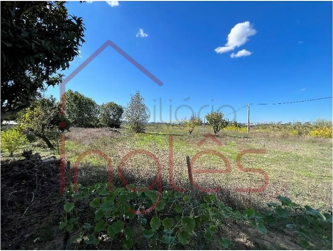 Moradia T4 à venda em Santarém (Marvila), Santa Iria da Ribeira de Santarém, Santarém (São Salvador) e Santarém (São Nicolau), Santarém — foto 40