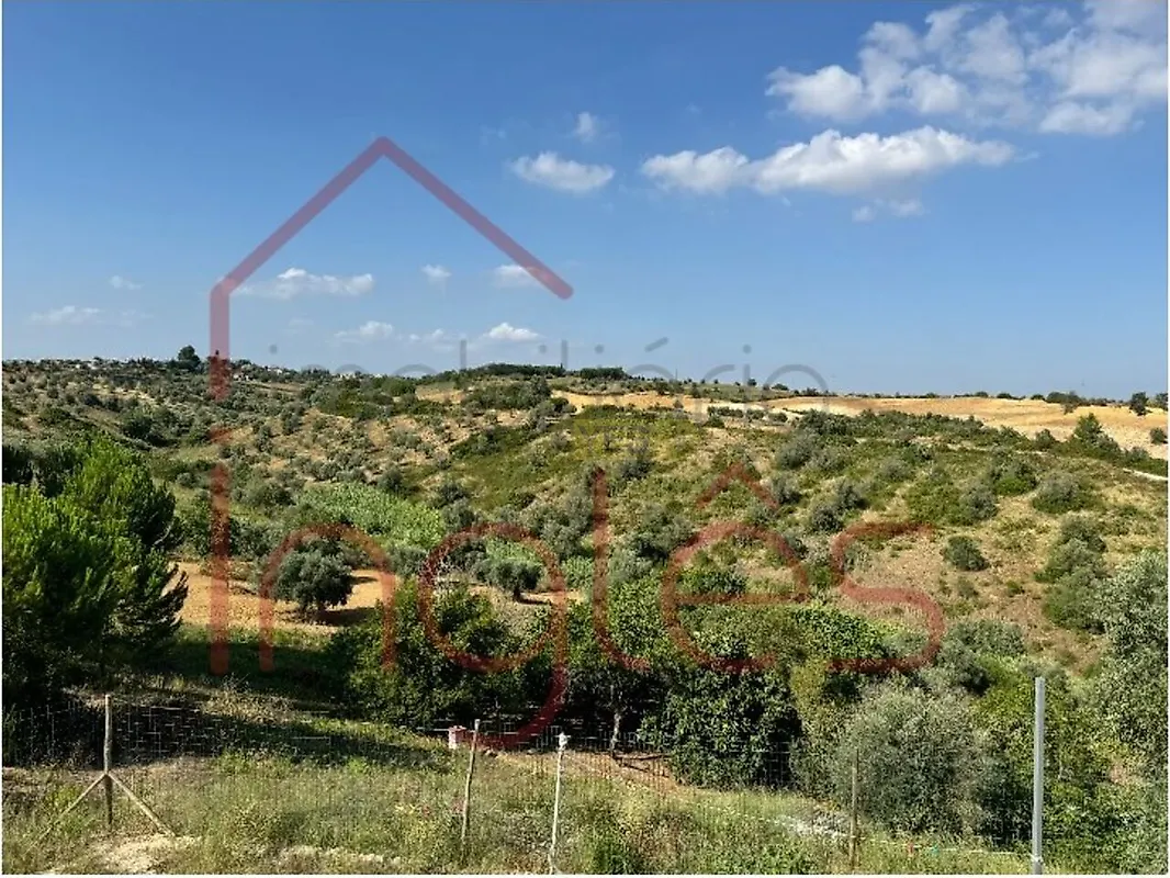 Moradia T6+ à venda em Moçarria, Santarém — foto 38