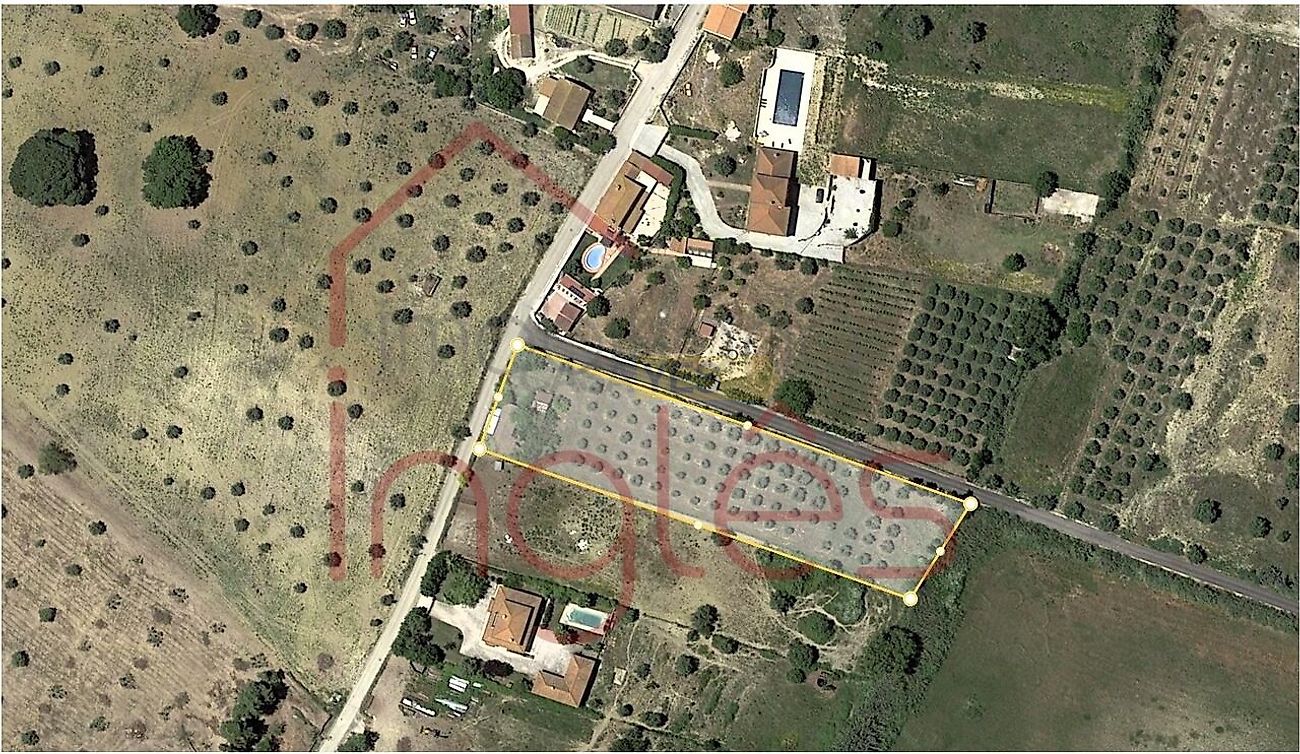 Moradia T2 à venda em Moçarria, Santarém — foto 3