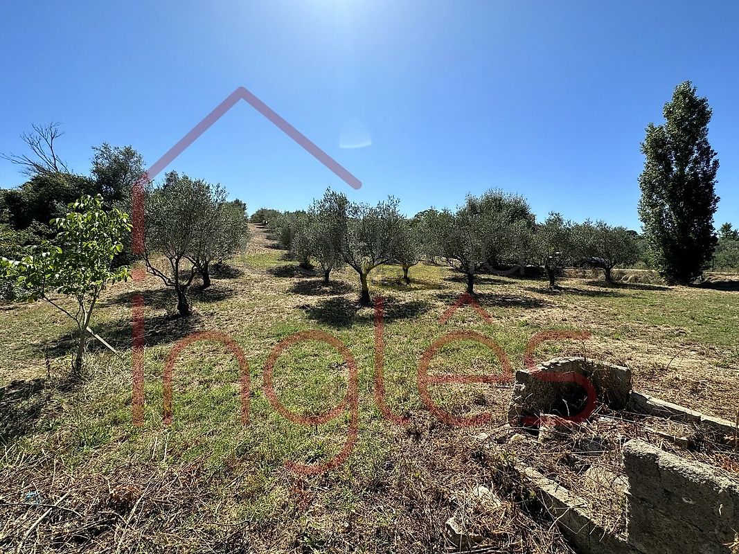 Moradia T2 à venda em Moçarria, Santarém — foto 10