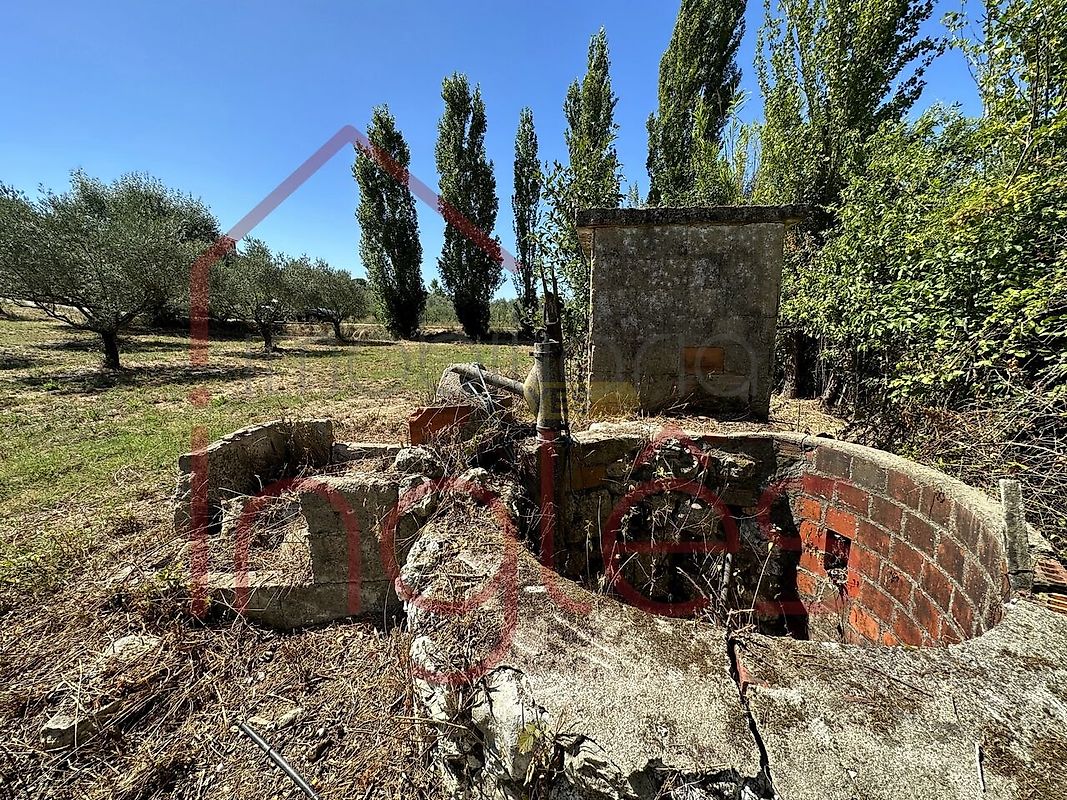 Moradia T2 à venda em Moçarria, Santarém — foto 15