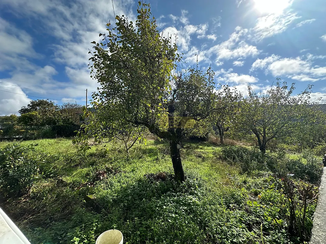 Moradia T0 à venda em Bigorne, Magueija e Pretarouca, Lamego — foto 10