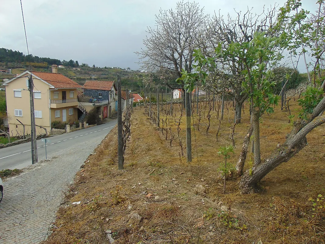 Moradia T0 à venda em Queimadela, Armamar — foto 6