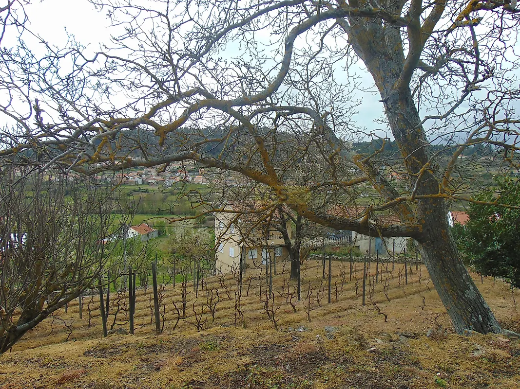 Moradia T0 à venda em Queimadela, Armamar — foto 10