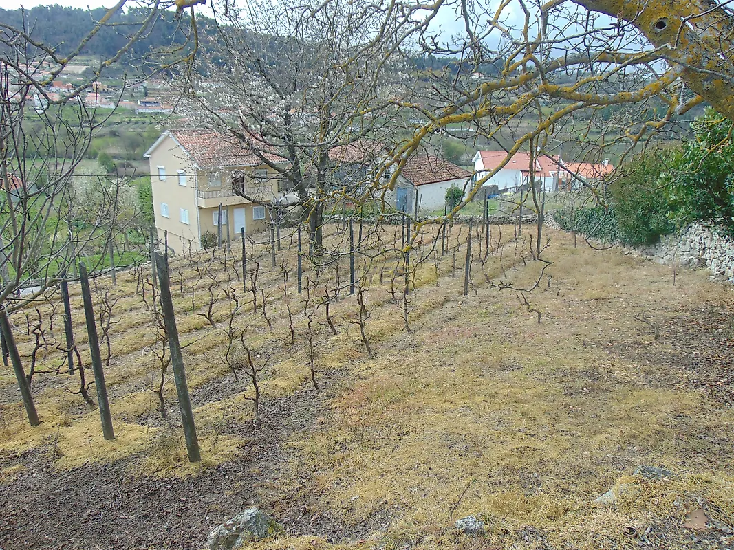 Moradia T0 à venda em Queimadela, Armamar — foto 11