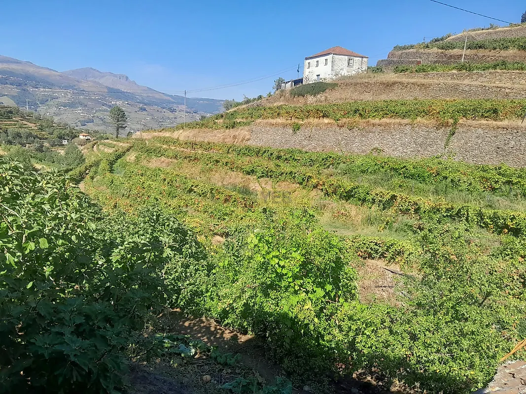 Moradia T0 à venda em Penajóia, Lamego — foto 3