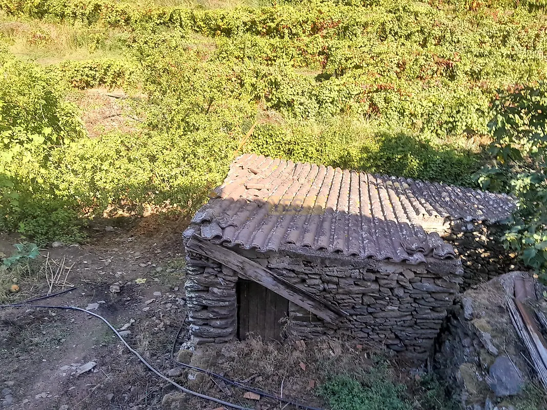 Moradia T0 à venda em Penajóia, Lamego — foto 7