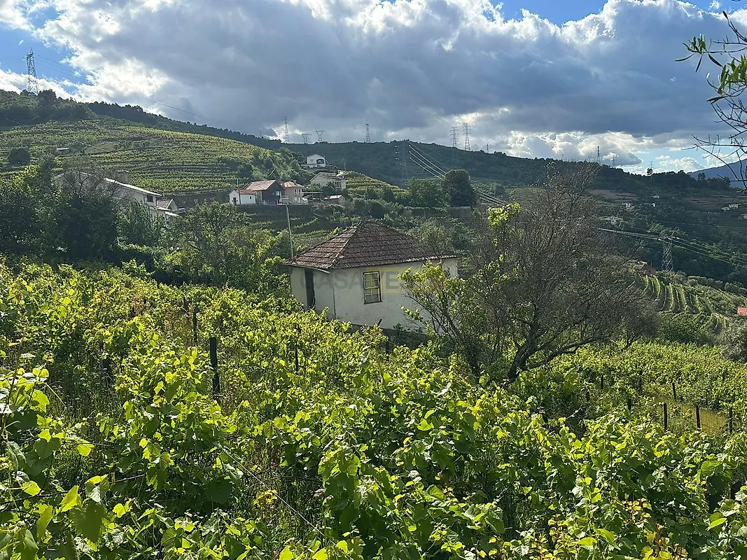 Moradia T0 à venda em Cambres, Lamego — foto 2