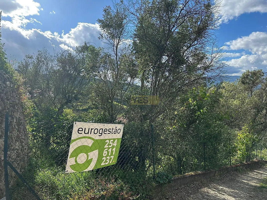 Moradia T0 à venda em Cambres, Lamego — foto 6