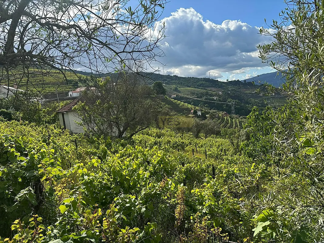 Moradia T0 à venda em Cambres, Lamego — foto 7